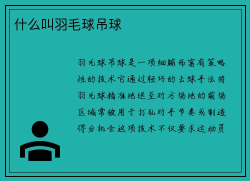 什么叫羽毛球吊球